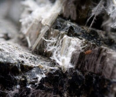 asbestos-chrysotile-fibers-2023-11-27-05-09-02-utc